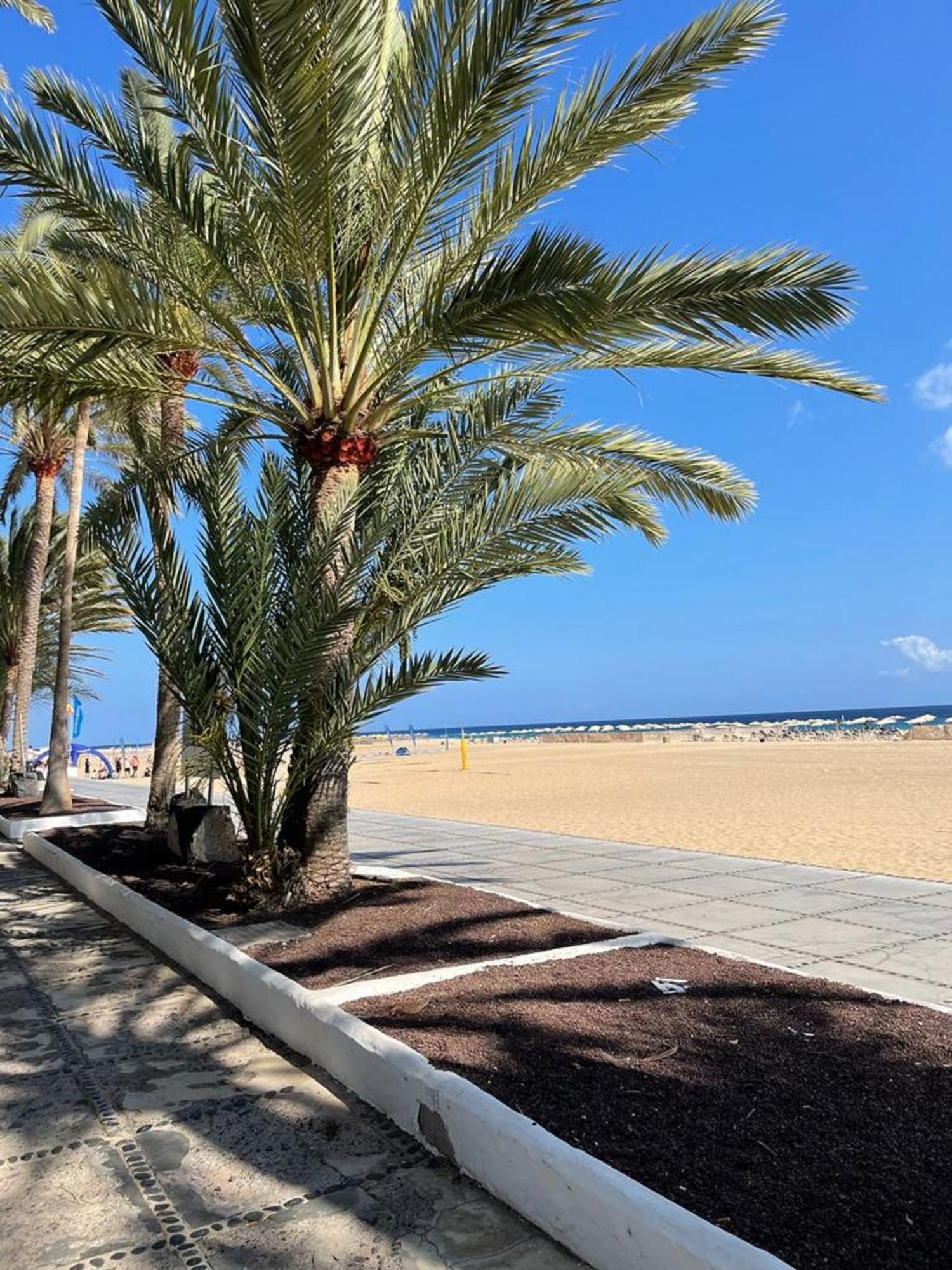Apartament Casa Reina Playa Jandia Zewnętrze zdjęcie
