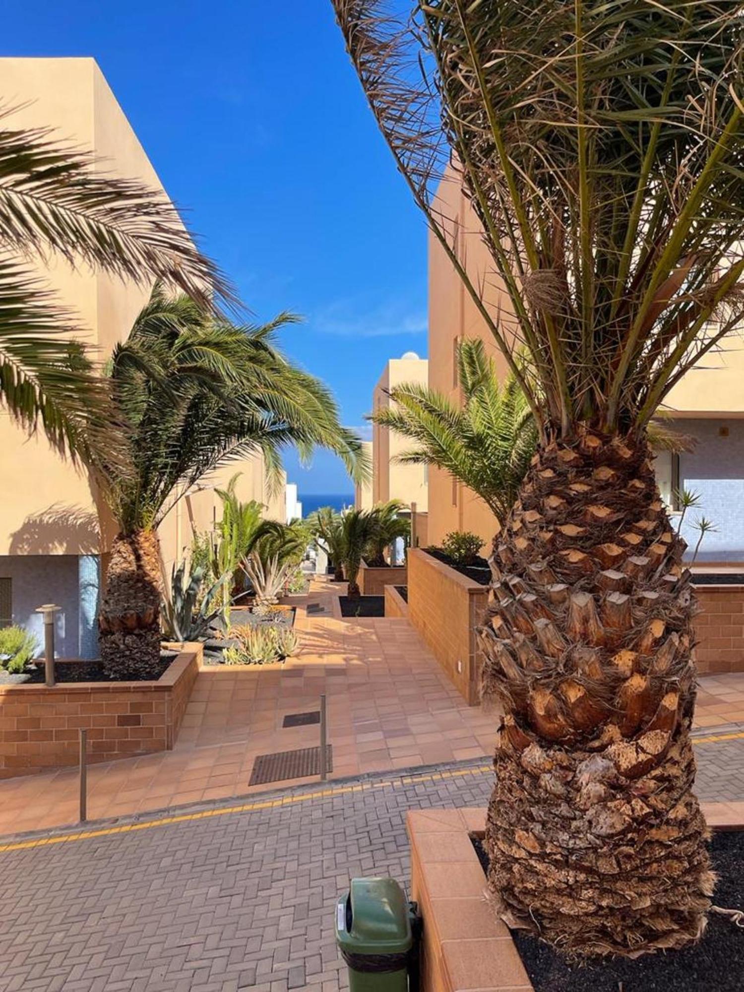 Apartament Casa Reina Playa Jandia Zewnętrze zdjęcie